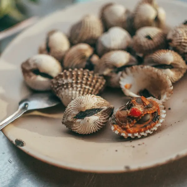 Nghêu sò mix