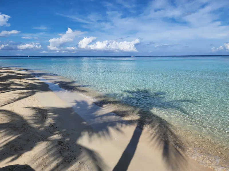 Bãi biển cát trắng với bóng dừa