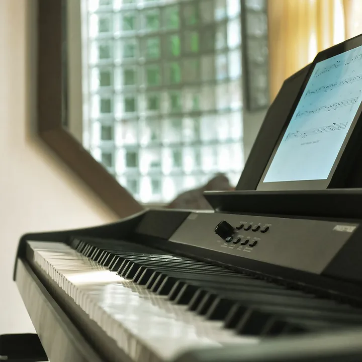 Piano điện 88 phím Số Hoá D1