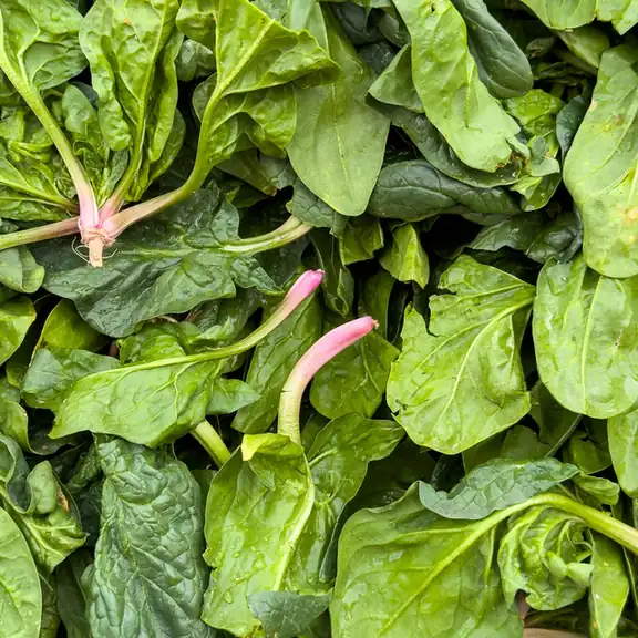 Rau bina hữu cơ 300g